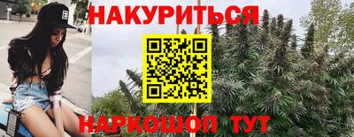 шишки Донской